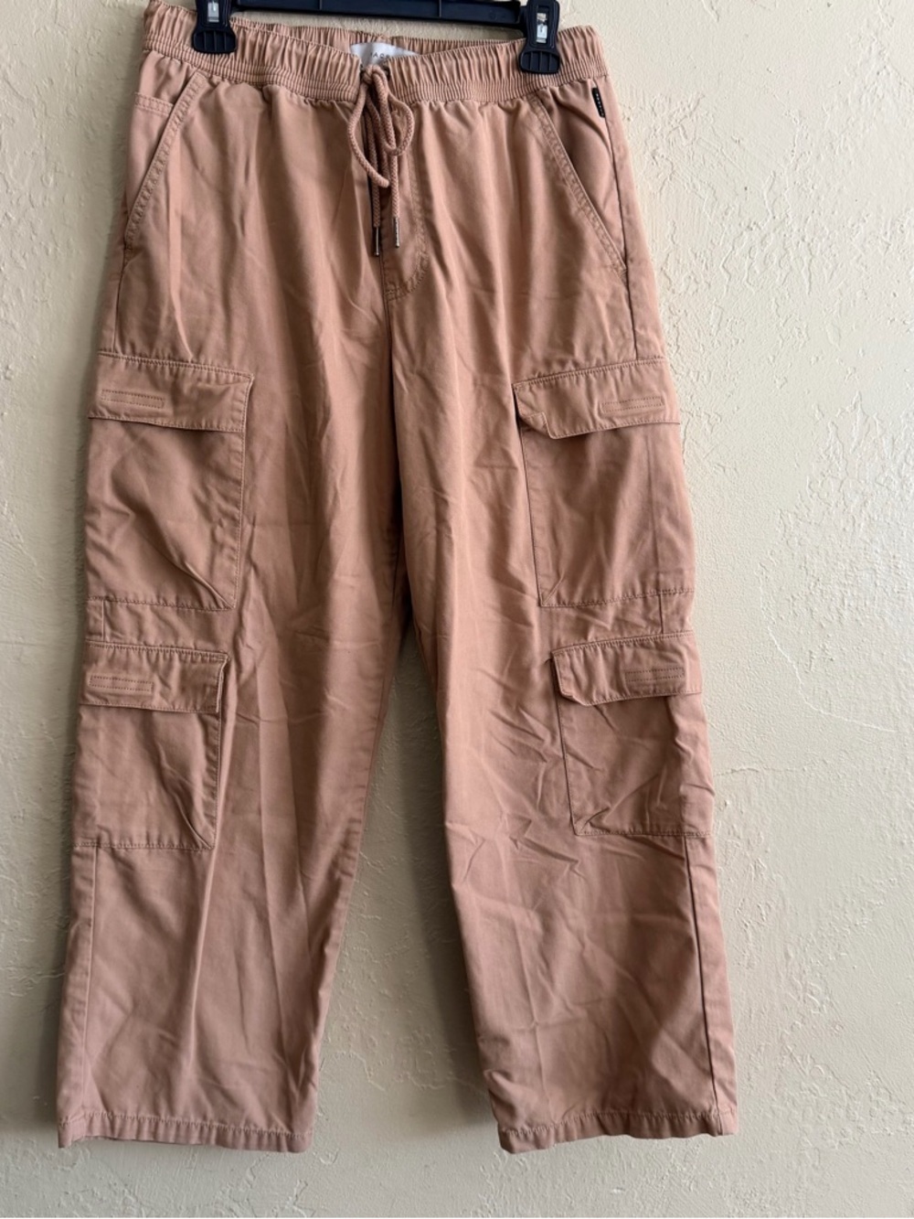 PacSun Men’s Cargo Pants in Light Brown